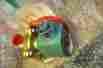 Tf10a21b Asco New 1 2 Npt Transducer Pressure Switch