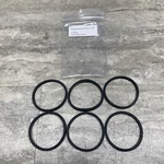 Lot Of 6 Metron Instruments F-0852-0 Valve Body Gasket, New. Fixed Price $45.00.