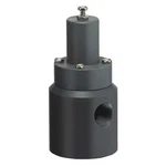 Plast-o-matic RVD050V-PV Pressure Relief Valve, 1/2IN, To 100 Psi. Fixed Price $282.99.