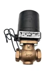 Magnatrol Valve Corp 129S43 Solenoid 120V 60HZ 180PSI. Fixed Price $450.00.