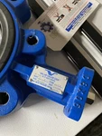 Value Valve Usa Model: VF-733A Butterfly Flowserve. Fixed Price $170.00.