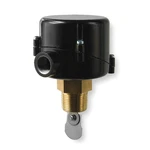 Mcdonnell Miller 120610 FS254 Npt General Purpose Flow Switch With Nema. Fixed Price $240.00.