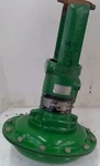 Fisher Valve Assembly CL250. Fixed Price $1199.00.
