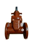 Matco-norca Inc 200W Awwa C509 2" Flanged Cast Iron Gate Valve. Fixed Price $430.75.