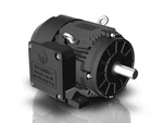 Techtop Electric Motor 10 Hp 1800 Rpm 3-PH 230/460 Volt 215T Frame. Fixed Price $1145.70.