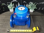 New- Nmt Seametrics Flow Meter 2008004731 TM-2-P-C Blue Valve. Fixed Price $750.00.