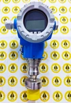 Endress Hauser PMP75-ANA1PB12AAAA Absolute & Gauge Pressure Cerabar. Fixed Price $499.00.